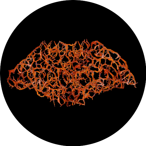 Rupture of the Gastrointestinal Tract