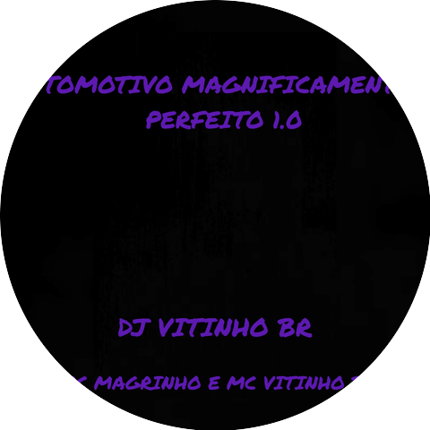 DJ Vitinho BR and Mc Vitinho Br
