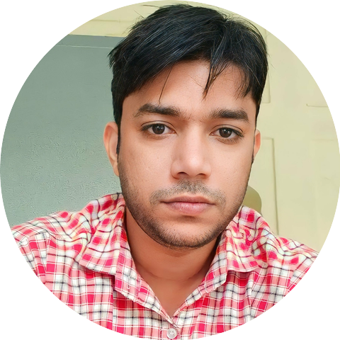 Rahul Meena Bank Manager