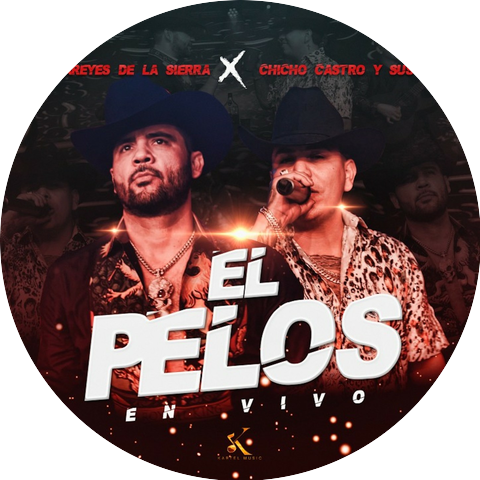 Chicho Castro y Sus Alia2 & Los Dareyes De La Sierra