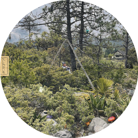 El Secreto Del Alfajor