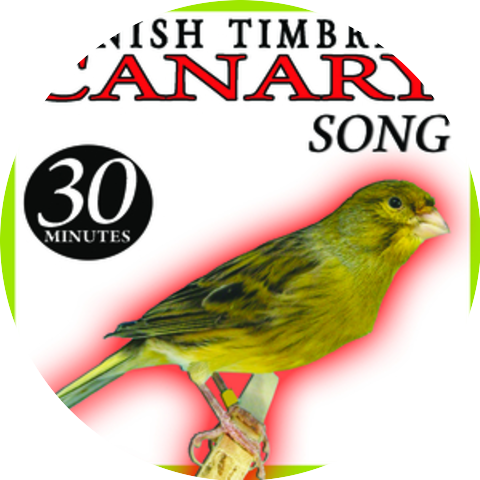 Sonido y Cantos de Pajaros
