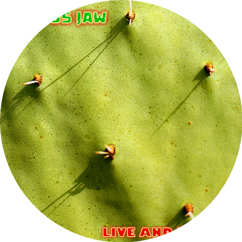 Cactus Jaw
