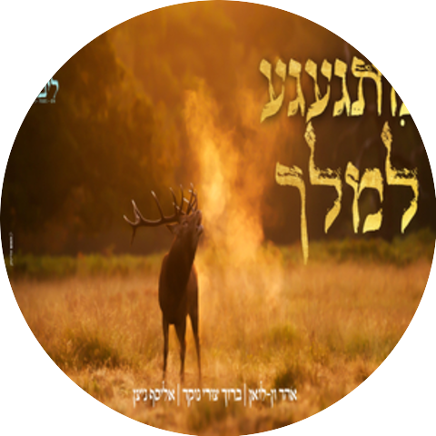 ברוך צורי נוקד & יהוידע כהן