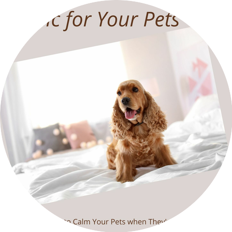 Relax My Pet