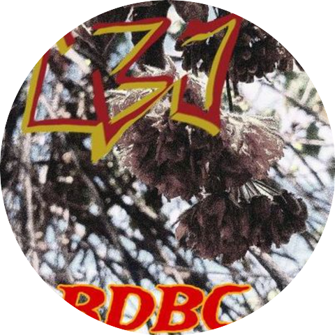 B.D.B.C.
