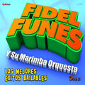 FIdel Funes Y Su Marimba Orquesta