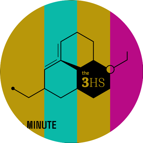 The 3HS