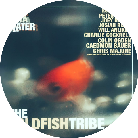 The Goldfish Tribe