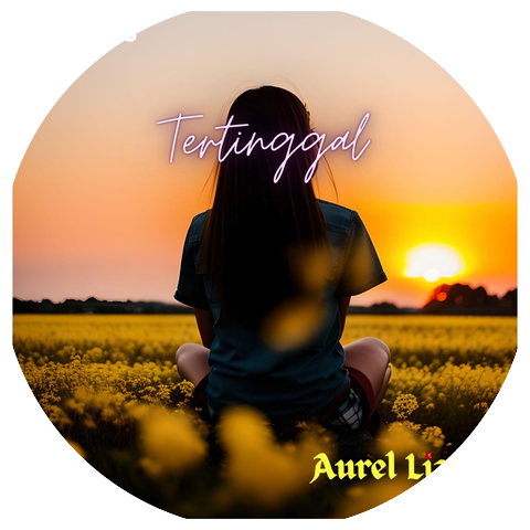 Aurel Liang