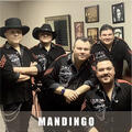 Mandingo