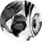 D12 (thumbnail)