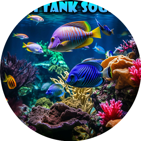 Fish Tank Sounds