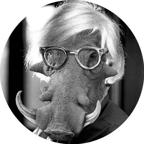 Andy Warthog