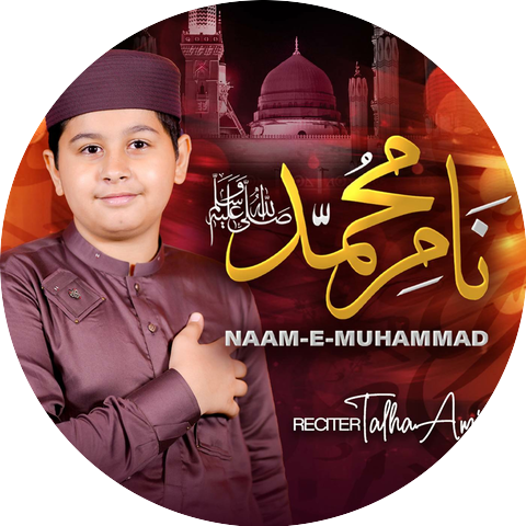 Talha Amin