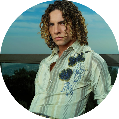 David Bisbal, Biography, Music & News