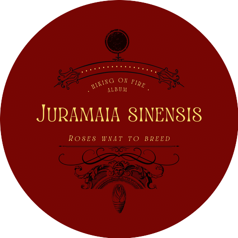 Juramaia Sinensis
