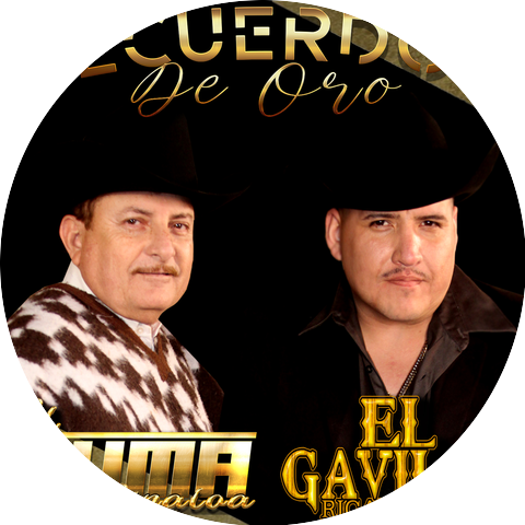 Ricardo Cerda El Gavilan & El Puma De Sinaloa