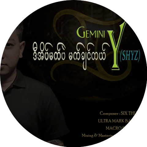 Gemini Y