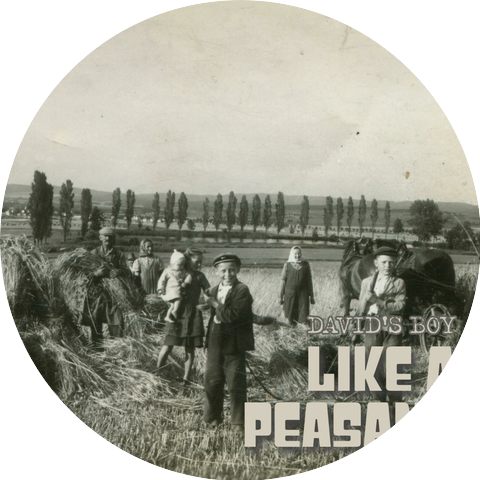 David's Boy