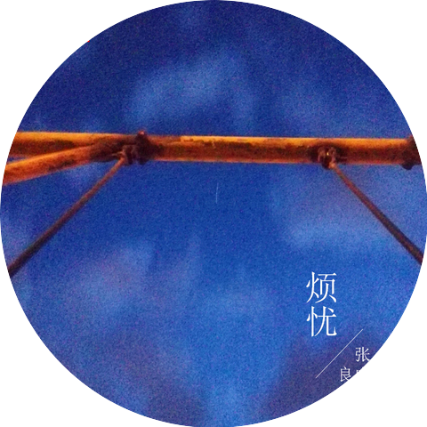 张良成
