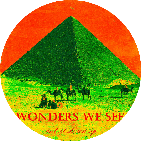 Wonders We See