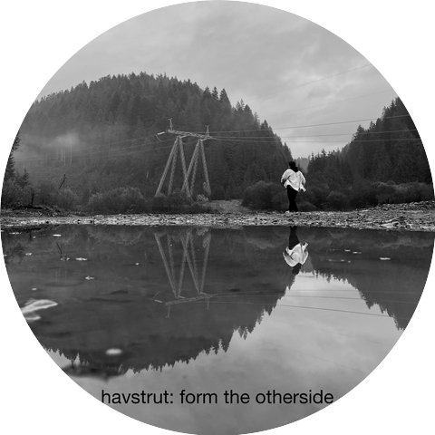 havstrut