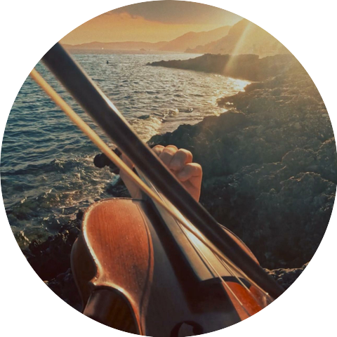 Poviolinist