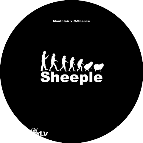 Montclair x C-Silence