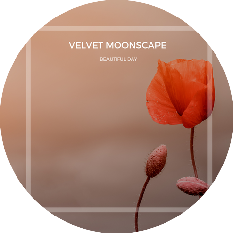 Velvet Moonscape