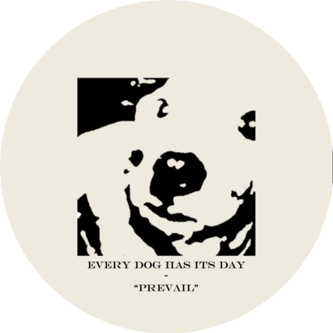 Every Dog Has Its Day