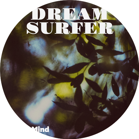 Dream Surfer