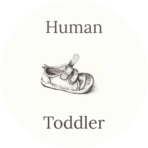 Human Toddler