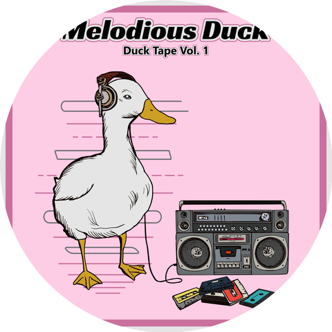 Melodious Duck