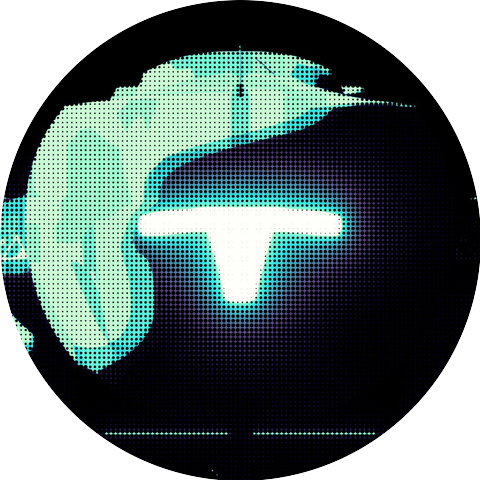 The Cat Wolfson Music Experience