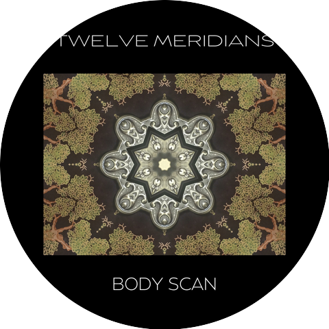 Twelve Meridians