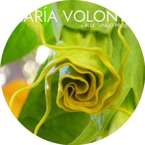 María Volonté & Blue Tango Project