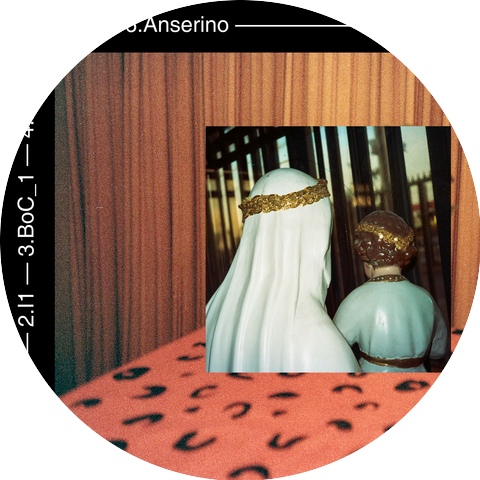 anseris