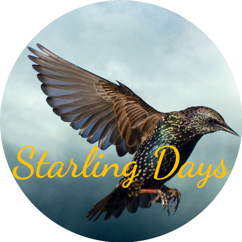 Starling Days