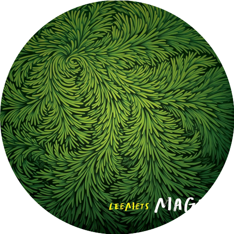 Leemets