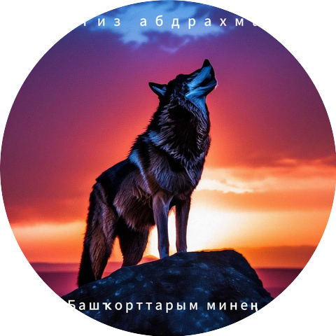 Ильгиз Абдрахманов