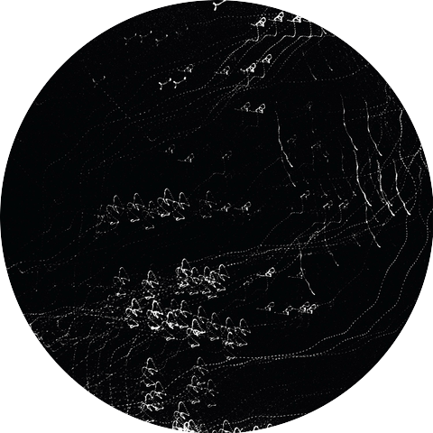 CSCR: The Cinematic Sound of Cracovian Room