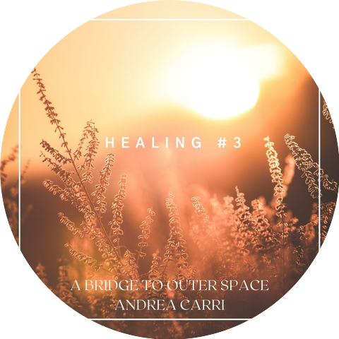 A Bridge To Outer Space & Andrea Carri