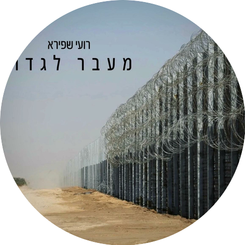 רועי שפירא