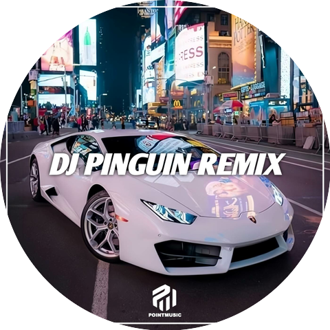 DJ PINGUIN REMIX