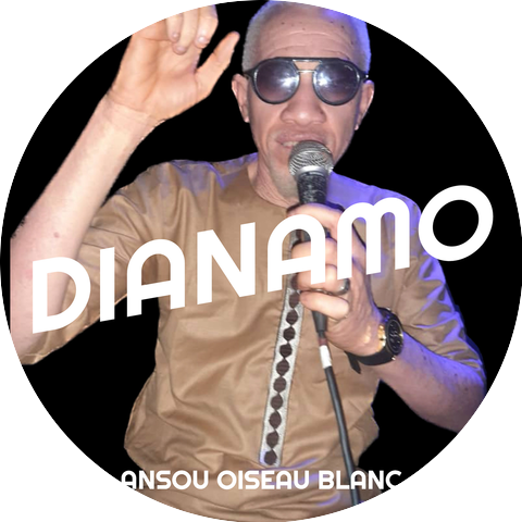 ANSOU OISEAU BLANC