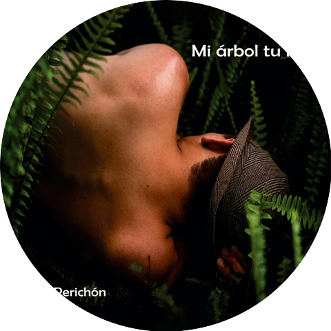 Diego Perichón