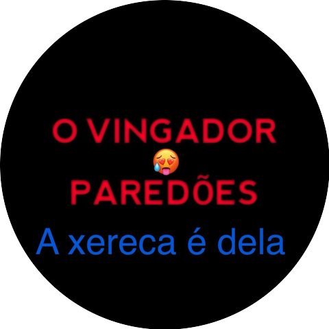 O Vingador Dos Paredões