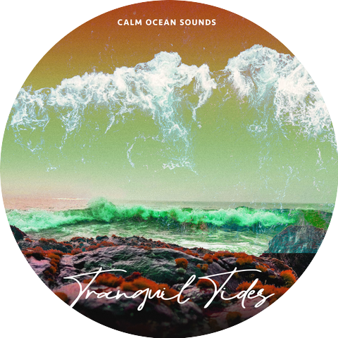 Calm Ocean Sounds