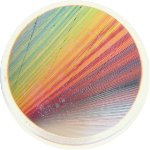 Sivl